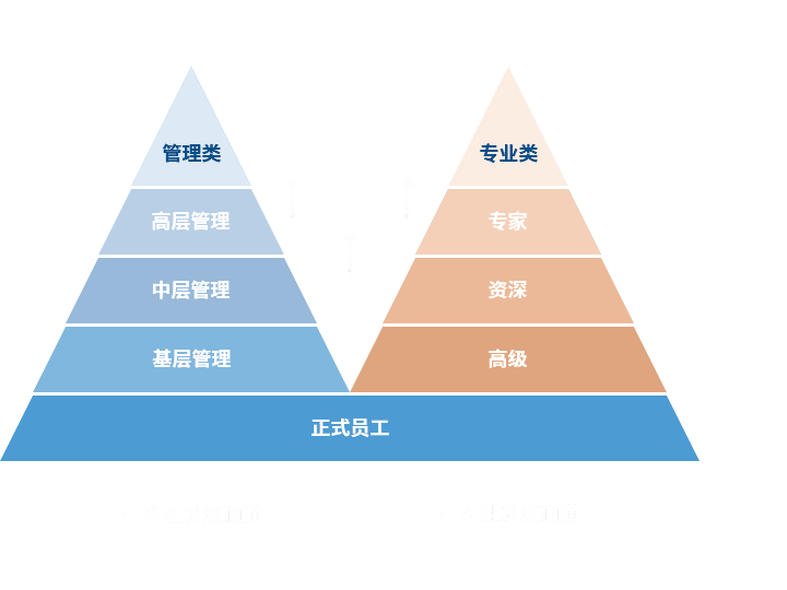 z6尊龙凯时官网 